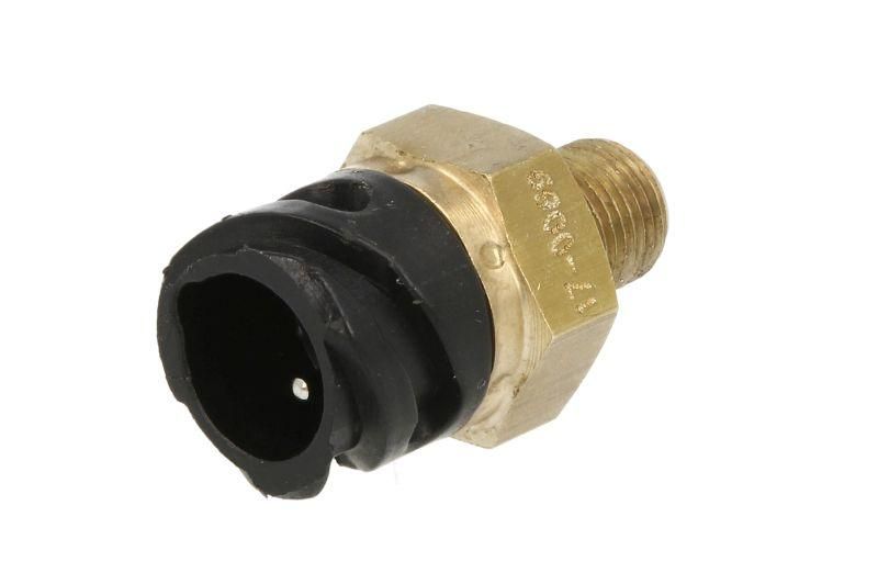 Датчик температуры масла MAN F 2000/F 90/M 2000 L/M 2000 M/M90/TGA M10*1MM 2 PIN (-30°C)-(130°C) КЛЮЧ-24 81274210077 фото