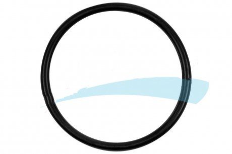 Pierścień uszczelniający pompy paliwa SCANIA P/G/R/T ​​​​d44,2x3mm (Tzerli | 0804670/Z)
