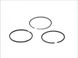 Поршневые кольца ((STD)) MERCEDES T2/LN1, LK/LN2, UNIMOG OM356.901-OM366.940 01.84- (KOLBENSCHMIDT | 800052610000) 2870221-66 фото 1