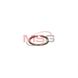 Газомасляне кольцо турбіни H1C (Jrone | 2000-020-069) 5209056-17 фото 3