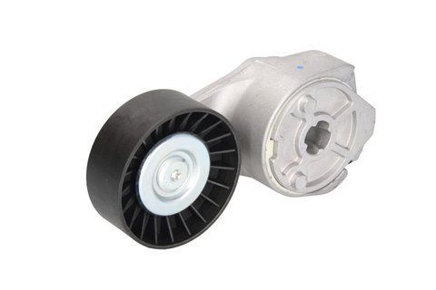 Napinacz paska DAF CF65/LF45/LF55, IVECO EuroCargo I&ndash;III/EuroTech MT/Magirus >1991 1399691
