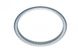 Pierścień ABS przód (156/187x12) MERCEDES NG, SK 07.87- (ELRING | 456.950)