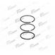 Кольца поршневые Mercedes Actros OM501/502, Setra, Evobus (стр. каталога 2012г. 023) (Vaden | 101204) 2761205-24 фото 1