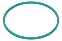 Кругла прокладка (LEMA | 27050.10) 4662157-173 фото