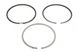 102 (стандарт) 2,5-3,5-4 Поршневые кольца MERCEDES VARIO, VARIO (B667, B670, B668), VARIO (B670), VARIO (B670, B668, B667), ATEGO, ATEGO 2, AXOR 2, CITARO (O 530) 4.2D/4.3D/6.4D 03.96- (FEDERAL MOGUL | 08-428900-00) 3281750-1 фото