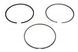 Поршневые кольца ((STD) 3,5-2,5-3,5) MAN HOCL, LION S COACH, TGA, TGS, TGX D2676440-D2676LOH31 01.03- (KOLBENSCHMIDT | 800109410000) 3876481-66 фото 2