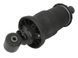 Амортизатор подушка кабіни MAN TGA/TGL/TGM/TGS/TGX>2000 L-299/337MM &Oslash;12*&Oslash;12MM ЗАТД. ЛІВ. 9640060220 8141722605 1791172355 фото 1