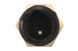 Czujnik temperatury oleju MAN CLA/E2000/F2000/F90/M2000 L/M2000 M/M90/TGA M10&times;1 1 pin 81274210077