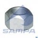 Nakrętka M20*1,5*20 SW30 Drabina RENAULT (wrzeciono) (SAMPA | 079.228)