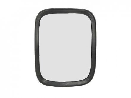 Наружное зеркало заднего вида, ручное MAN F90 07.86-12.97 (PACOL | man-mr-032) 2558692-173 фото