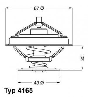 Termostat, środek chłodzący (WAHLER | 4165.79D)