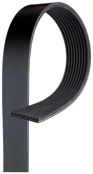 Pasek Wielorowkowy 10Pk2451 Gates