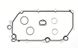Комплект Прокладок маслянного радиатора (теплообменника) Scania 4/4 Bus-Series P/g/r/t Dc11.01-Dt12.17 (Алюміній) 939100 фото